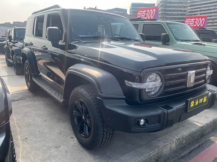 Фото 3 - Tank 300