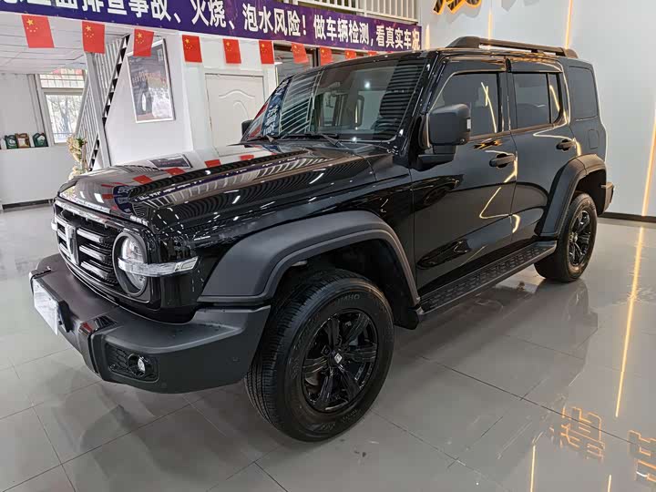 Фото 1 - Tank 300