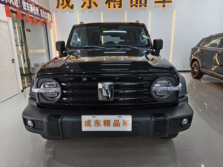 Фото 2 - Tank 300