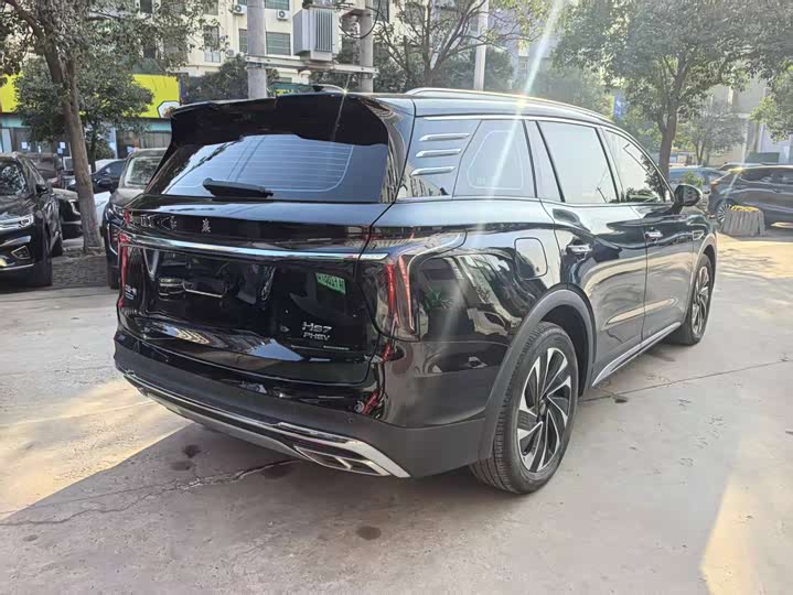 Фото 4 - Hongqi HS7 Hybrid