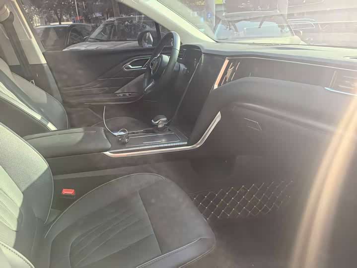 Фото 9 - Hongqi HS7 Hybrid