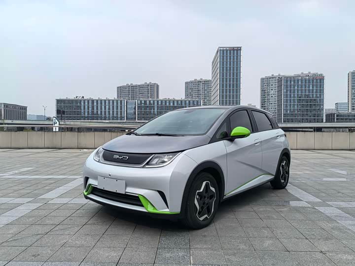 Фото 1 - BYD Dolphin