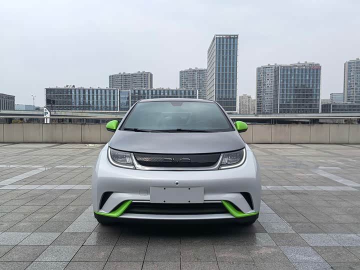 Фото 2 - BYD Dolphin