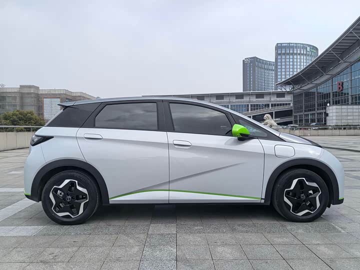 Фото 4 - BYD Dolphin