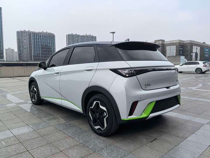 Фото 7 - BYD Dolphin