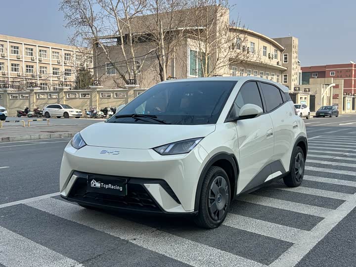 Фото 1 - BYD Seagull