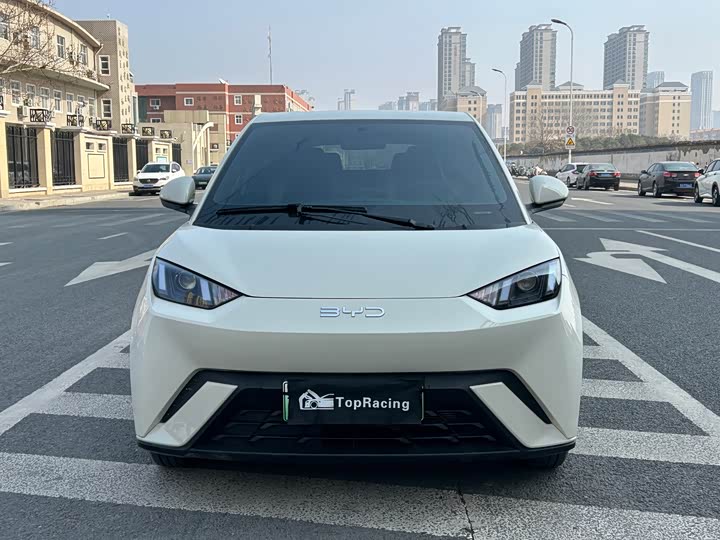 Фото 2 - BYD Seagull