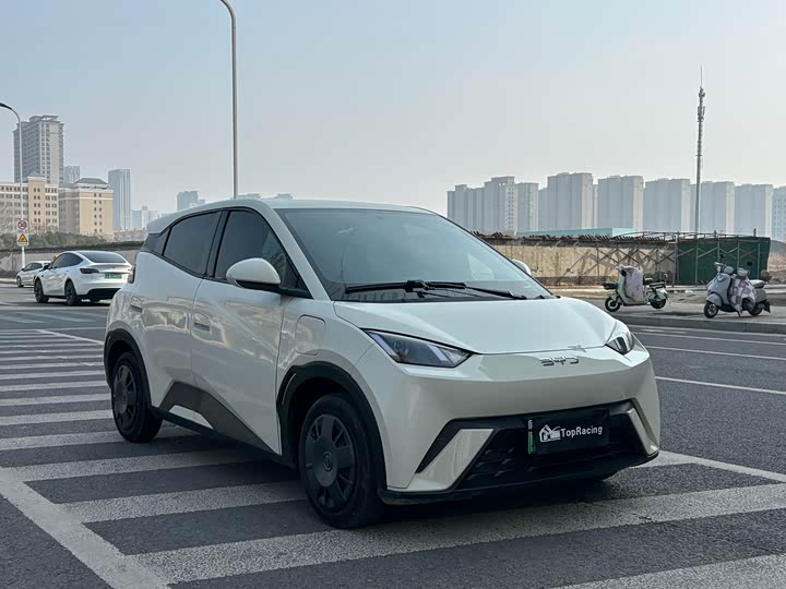 Фото 3 - BYD Seagull