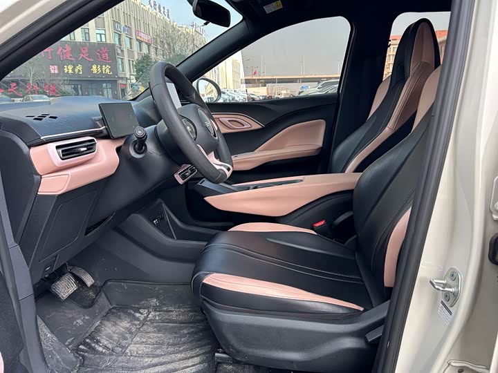 Фото 4 - BYD Seagull