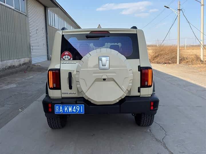 Фото 5 - Tank 300