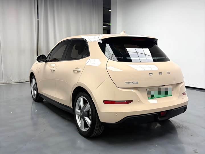 Фото 4 - Ora Good Cat (03)