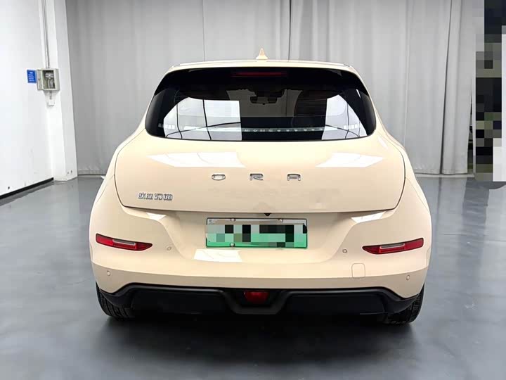 Фото 5 - Ora Good Cat (03)