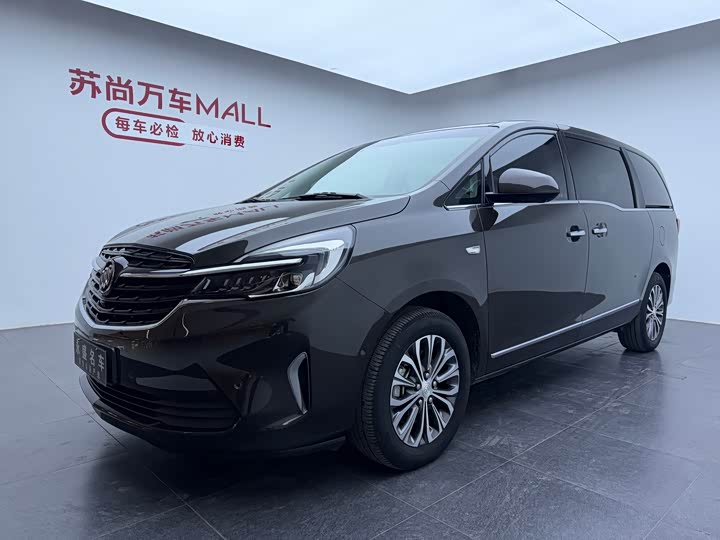 Фото 1 - Buick GL8 ES