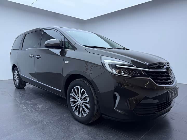 Фото 3 - Buick GL8 ES