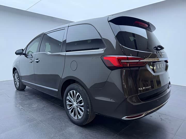 Фото 6 - Buick GL8 ES