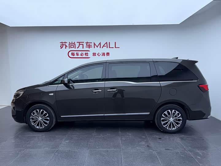 Фото 7 - Buick GL8 ES