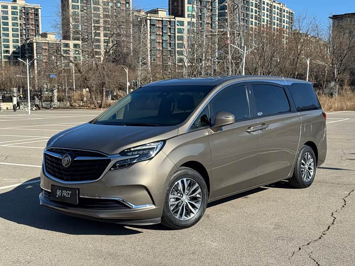 Фото 1 - Buick GL8 ES