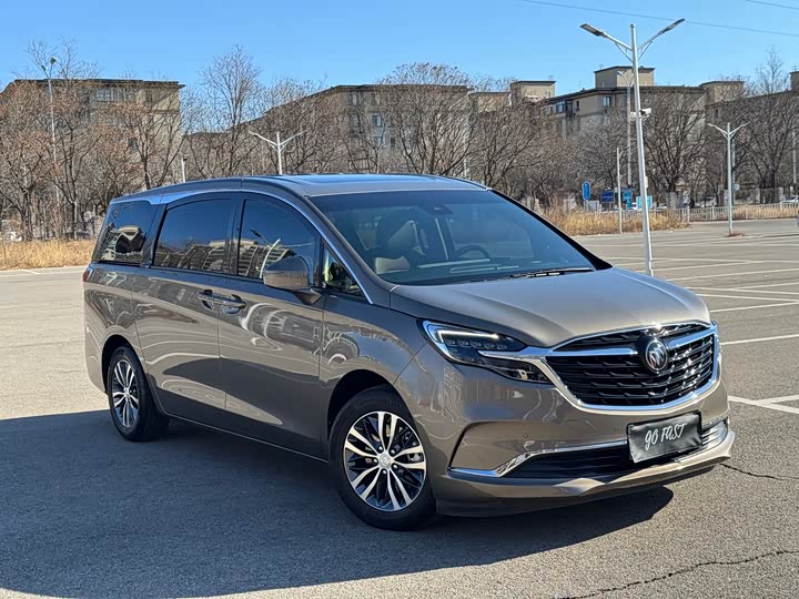 Фото 3 - Buick GL8 ES