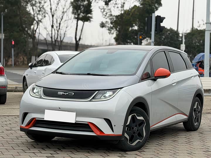 Фото 1 - BYD Dolphin