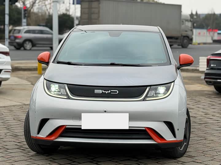 Фото 2 - BYD Dolphin