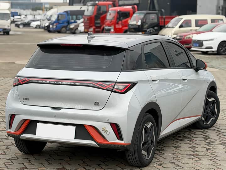 Фото 4 - BYD Dolphin