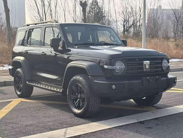 Фото 3 - Tank 300