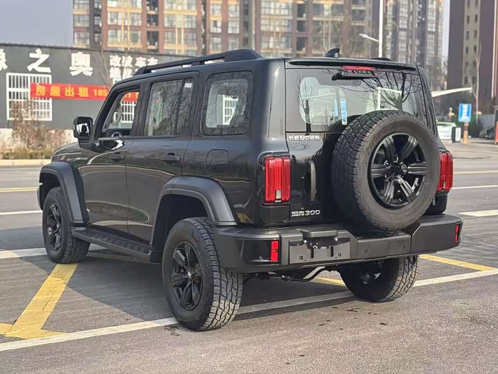 Фото 7 - Tank 300