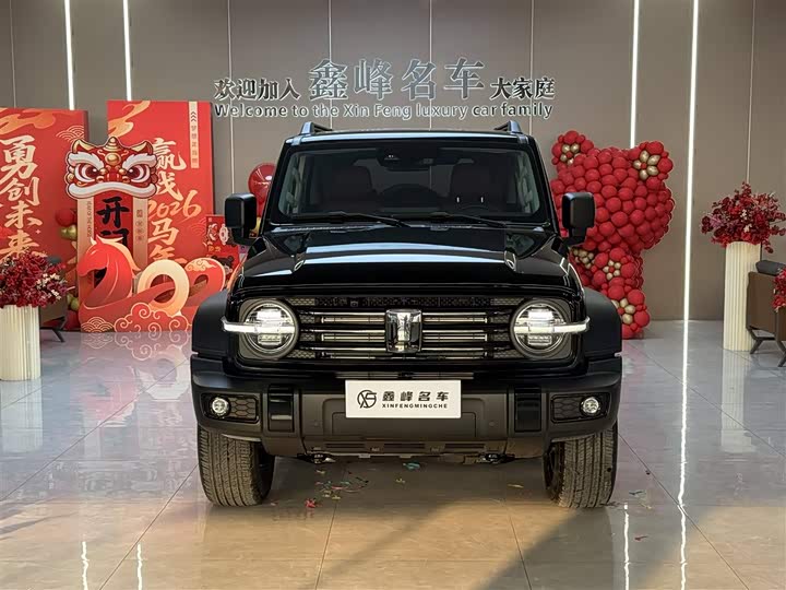 Фото 2 - Tank 300