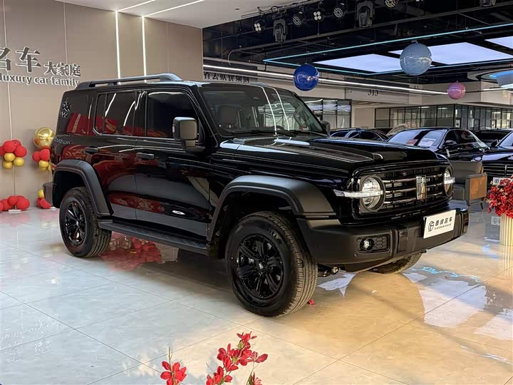 Фото 3 - Tank 300