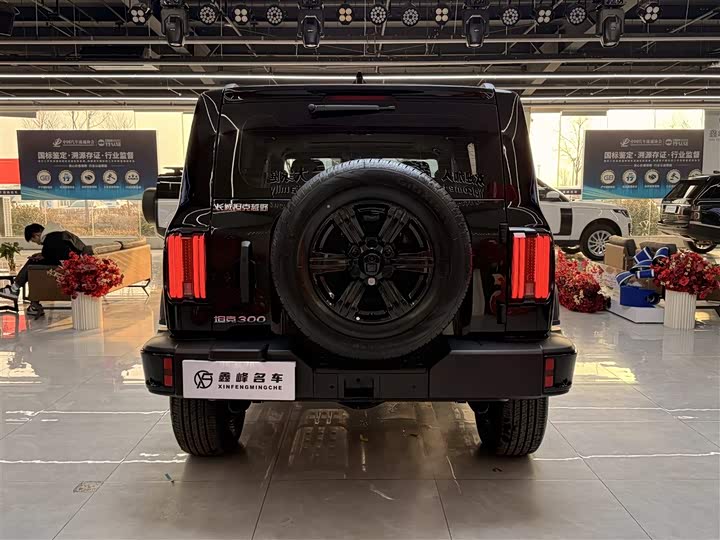 Фото 6 - Tank 300