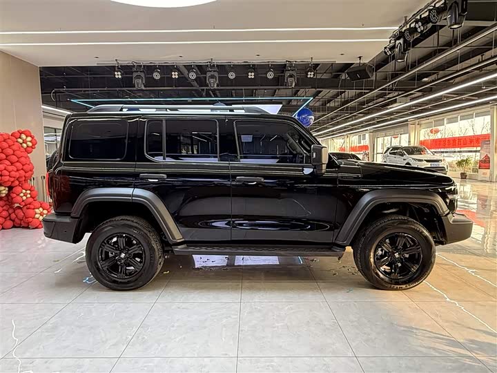 Фото 8 - Tank 300