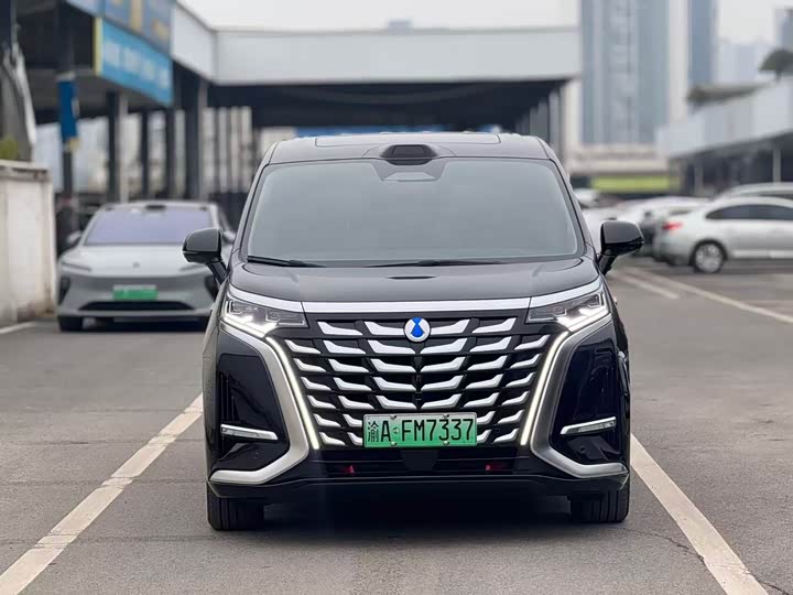 Фото 2 - Denza D9