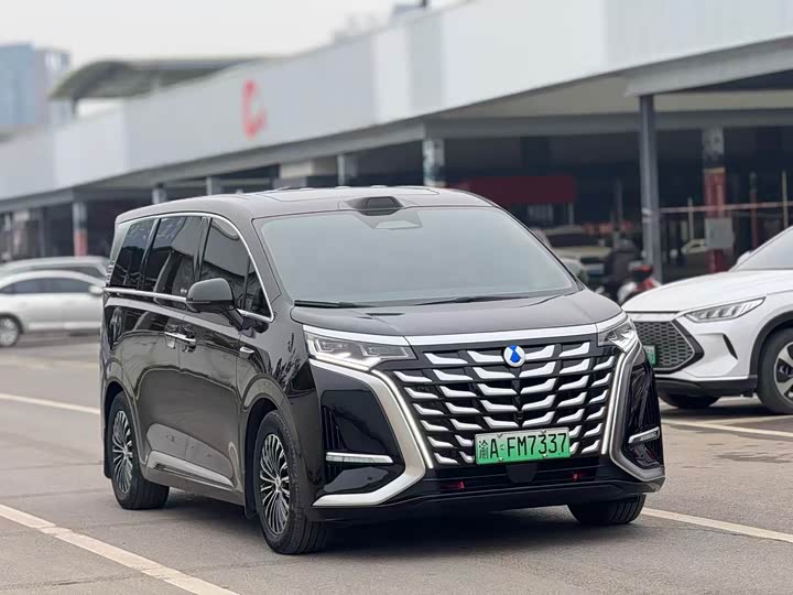 Фото 3 - Denza D9