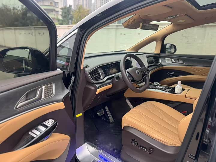 Фото 4 - Denza D9