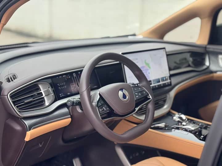 Фото 5 - Denza D9