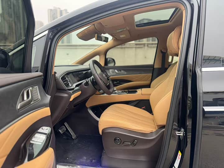 Фото 6 - Denza D9