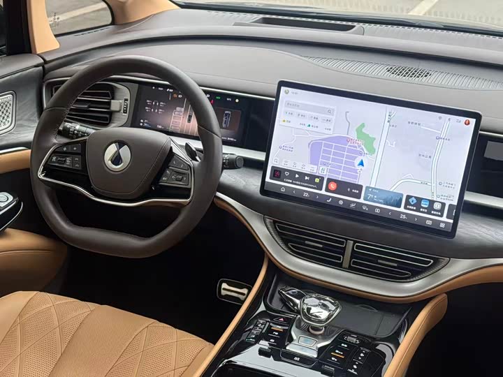 Фото 8 - Denza D9