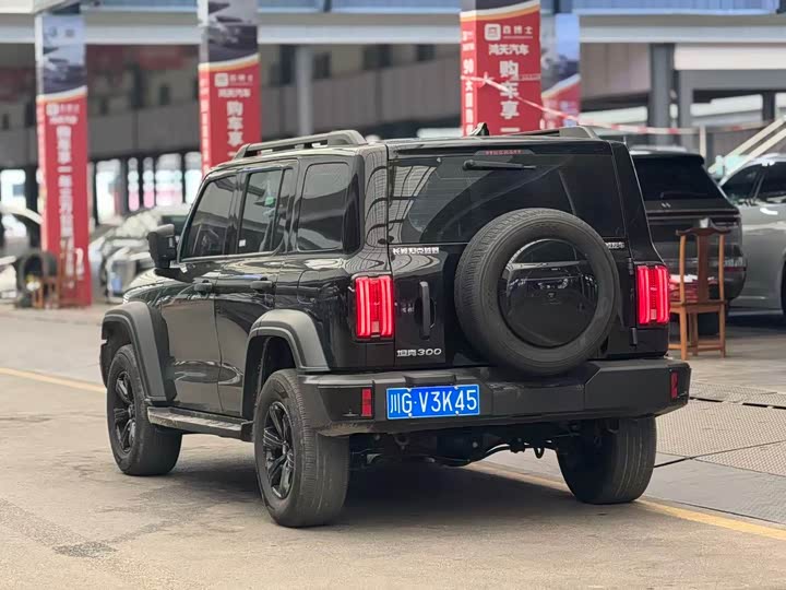 Фото 8 - Tank 300