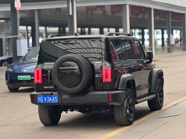 Фото 9 - Tank 300