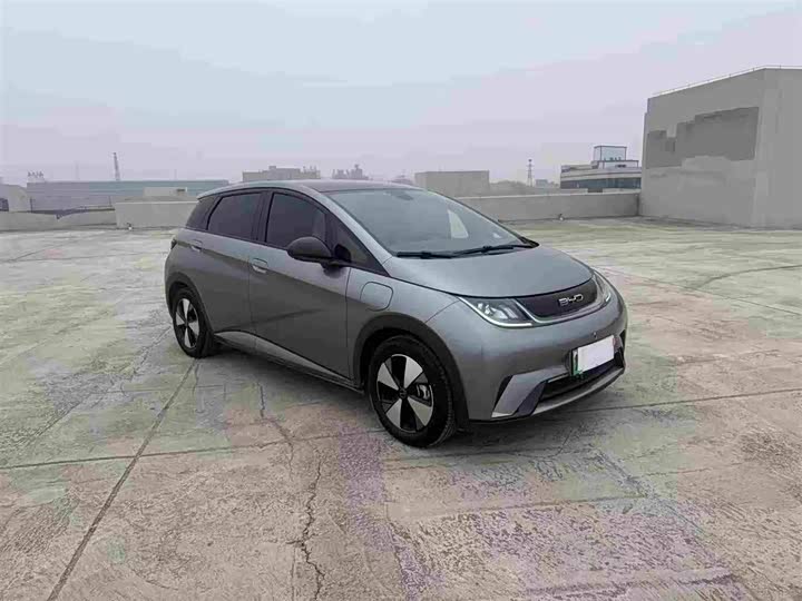 Фото 3 - BYD Dolphin