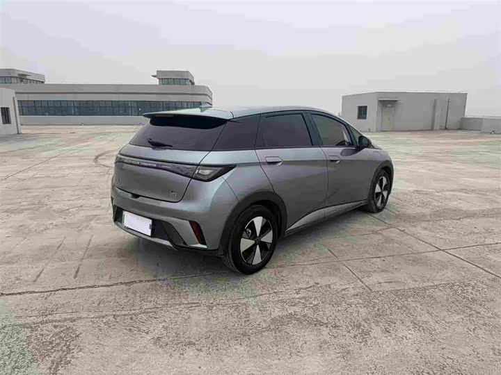 Фото 7 - BYD Dolphin