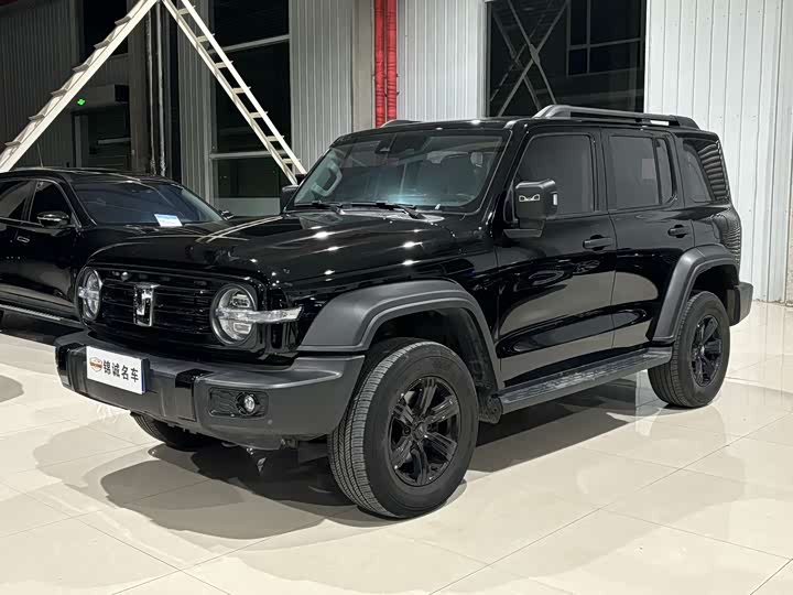 Фото 1 - Tank 300