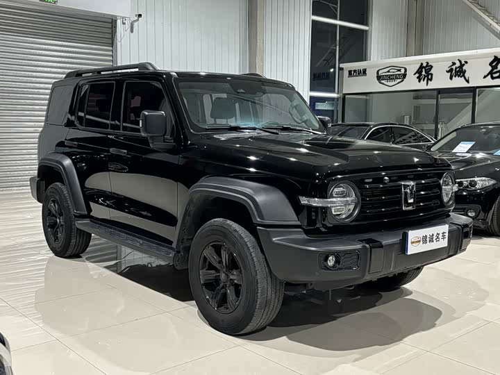 Фото 3 - Tank 300