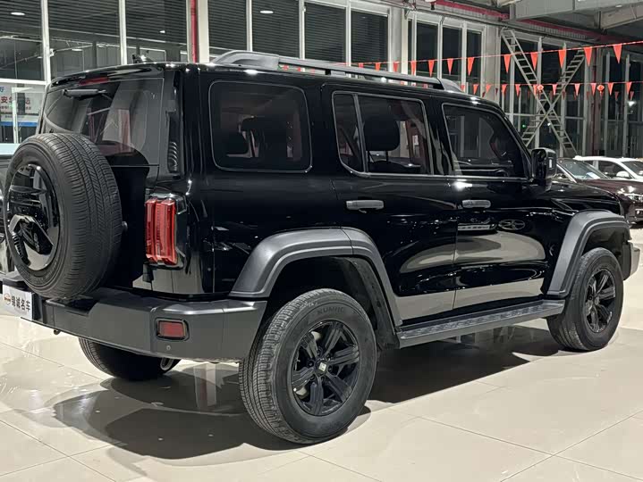 Фото 4 - Tank 300