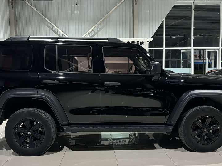 Фото 7 - Tank 300