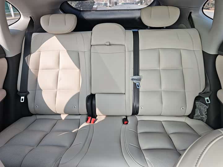 Фото 6 - IM motors LS6