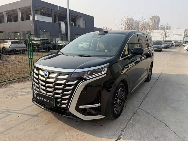 Фото 1 - Denza D9