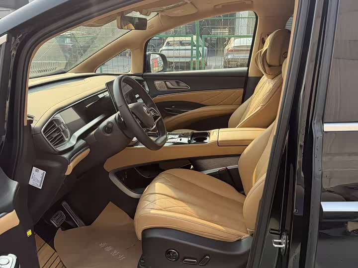 Фото 3 - Denza D9