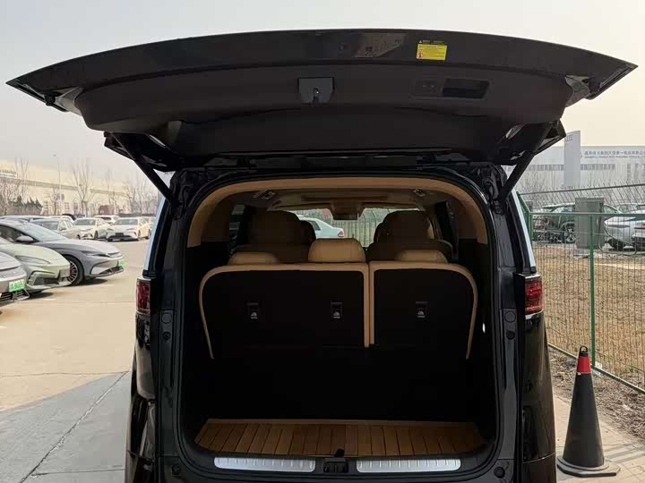 Фото 8 - Denza D9