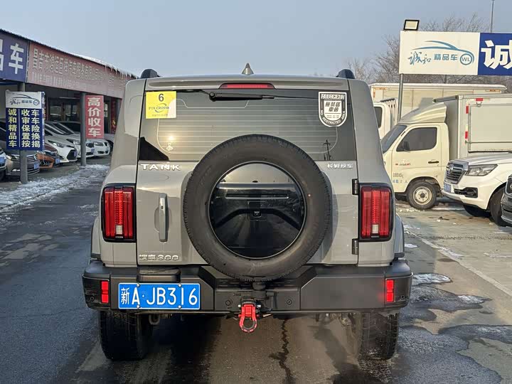 Фото 8 - Tank 300